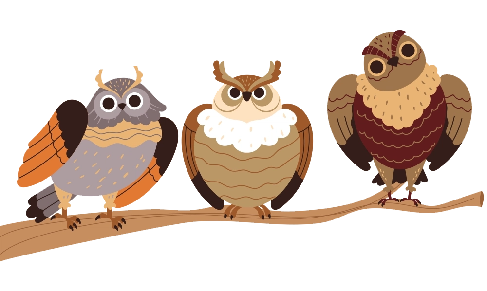 seo website development